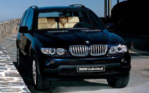 BMW X5 Individual 2003 года